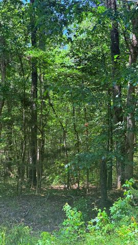 00 Weir Street, Summerville, SC 29483