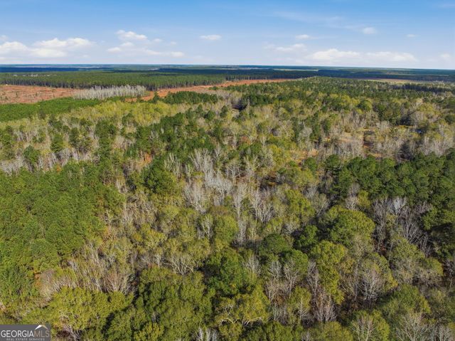 265 Jordan Meadow Lane, Sandersville, GA 31082