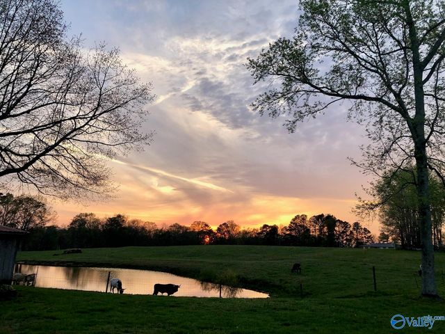 766 Coosa Road, Boaz, AL 35956