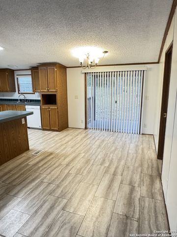 1036 Rebecca Springs, Spring Branch, TX 78070