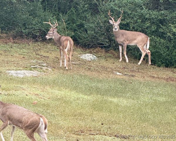 2520 W Blackjack Court, Collinsville, OK 74021