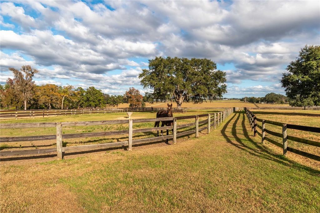 Image 28 of property listing at 5100 W HWY 329, Reddick, FL 32686