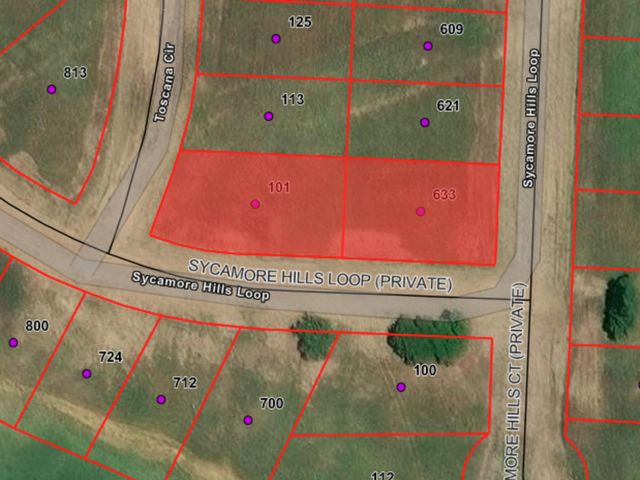 101 Tuscany Hills Lane, Gordonville, TX 76245