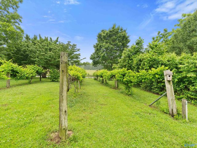 205 Oak Hill Lane, Arab, AL 35016