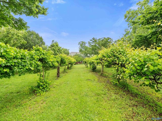 205 Oak Hill Lane, Arab, AL 35016