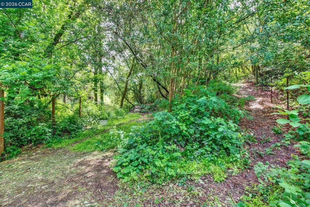 Image 13 of property listing at A Redwood Rd, Napa, CA 94558