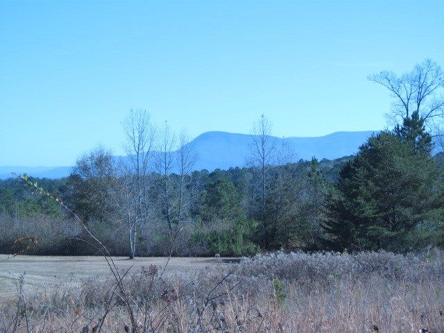 00 Tipi Lane, Chatsworth, GA 30705
