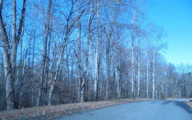 00 Tipi Lane, Chatsworth, GA 30705