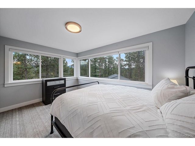 28001 Camel Heights Cir, Evergreen, CO 80439