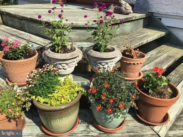 304 HARRISON AVE, Glenside, PA 19038