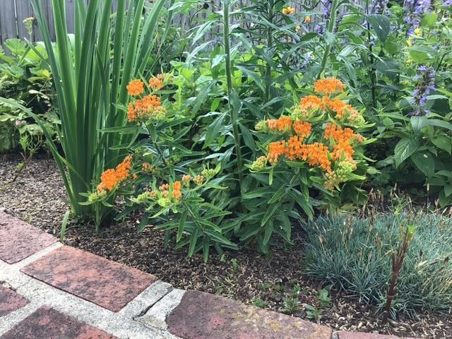 304 HARRISON AVE, Glenside, PA 19038