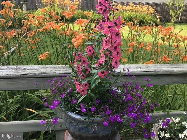 304 HARRISON AVE, Glenside, PA 19038