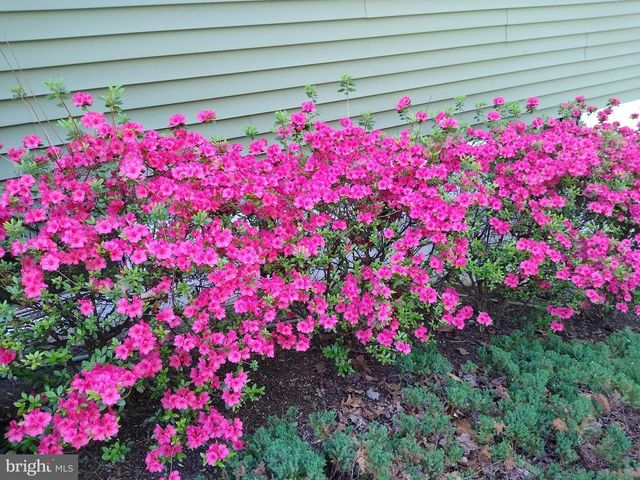 1307 PARK VIEW LN, Downingtown, PA 19335