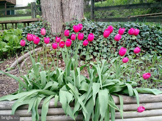 1307 PARK VIEW LN, Downingtown, PA 19335