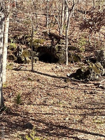 370 Hencken Hollow Lane, St Clair, MO 63077