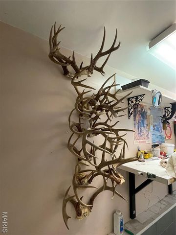 370 Hencken Hollow Lane, St Clair, MO 63077