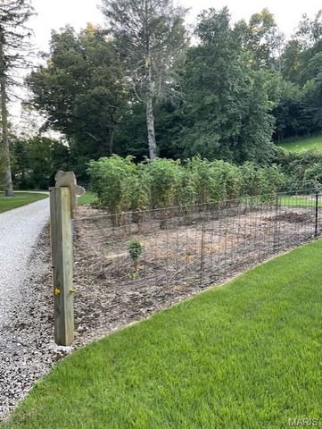 370 Hencken Hollow Lane, St Clair, MO 63077