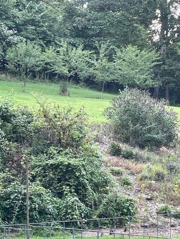 370 Hencken Hollow Lane, St Clair, MO 63077