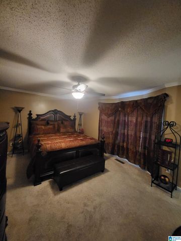 313 NE 41ST AVENUE, Center Point, AL 35215