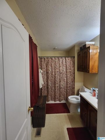 313 NE 41ST AVENUE, Center Point, AL 35215