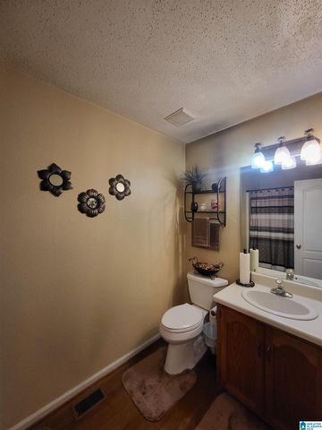 313 NE 41ST AVENUE, Center Point, AL 35215