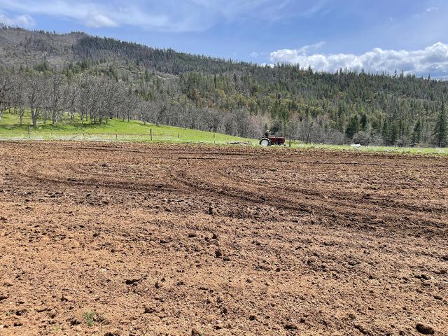 10250 Sterling Creek Road, Jacksonville, OR 97530
