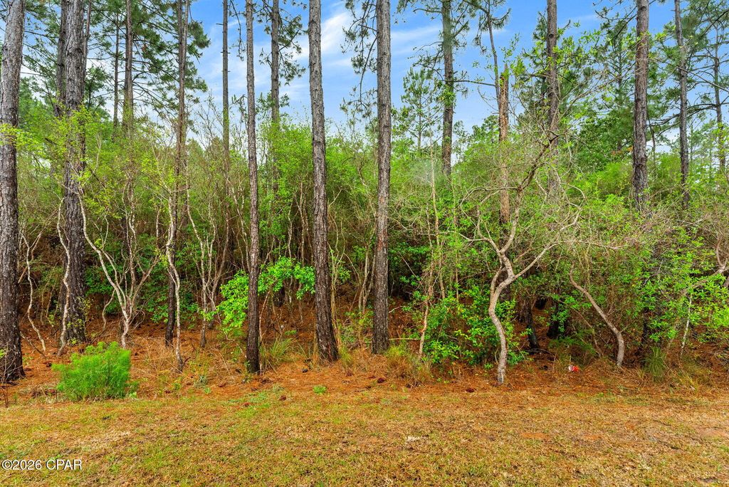 Image 42 of property listing at 224 Butler Cove, Panama City Beach, FL 32413