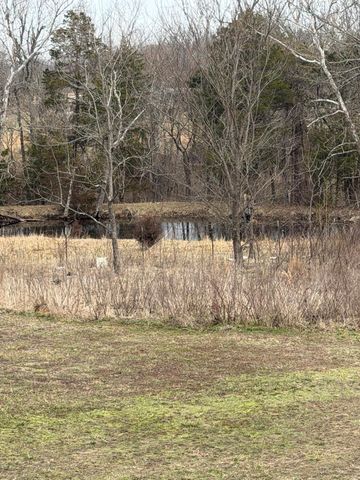 7348 State Hwy H, Dora, MO 65637