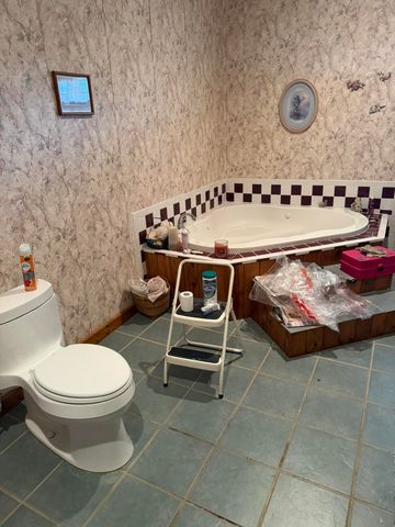 7348 State Hwy H, Dora, MO 65637