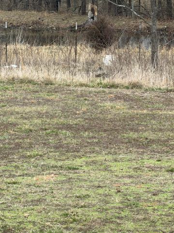 7348 State Hwy H, Dora, MO 65637