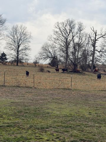 7348 State Hwy H, Dora, MO 65637