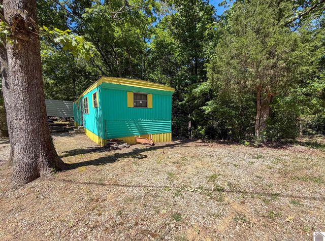 184 Hill Top Dr, Grand Rivers, KY 42045