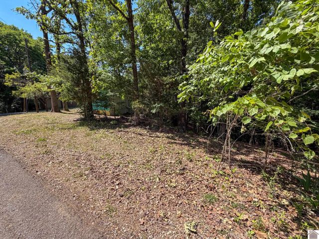 184 Hill Top Dr, Grand Rivers, KY 42045