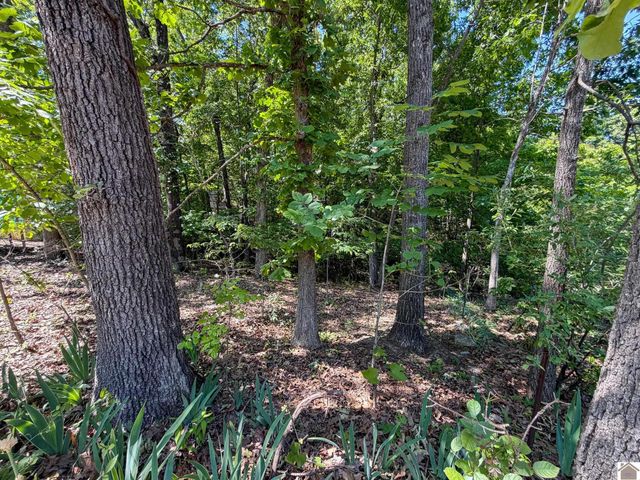 184 Hill Top Dr, Grand Rivers, KY 42045