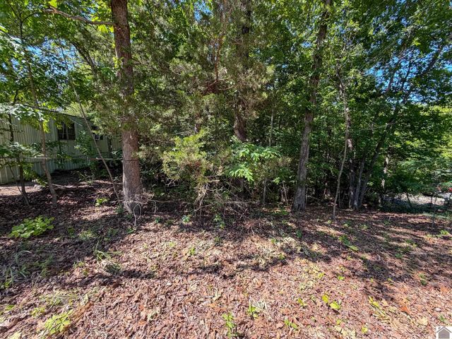 184 Hill Top Dr, Grand Rivers, KY 42045