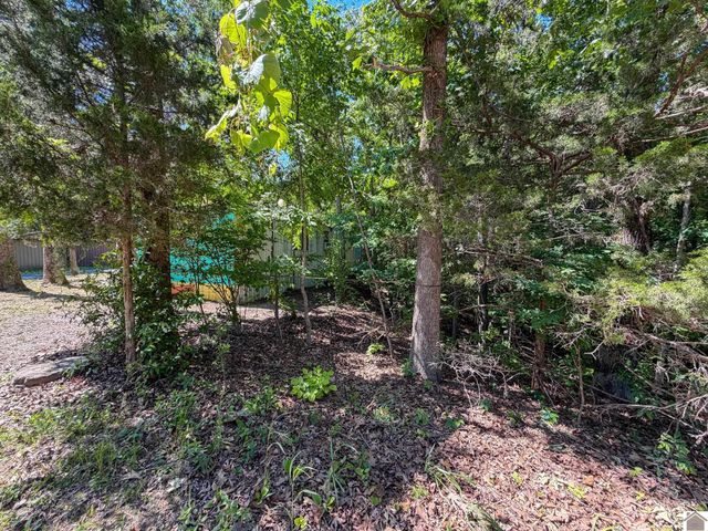 184 Hill Top Dr, Grand Rivers, KY 42045