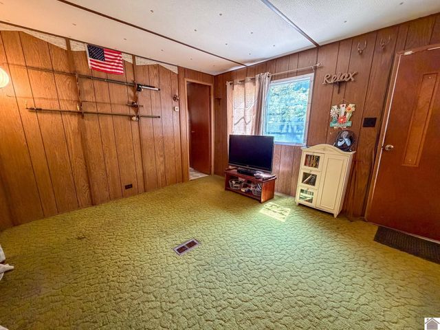 184 Hill Top Dr, Grand Rivers, KY 42045