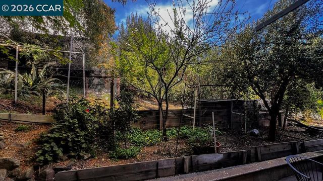 22 Holcomb Ct, Walnut Creek, CA 94596