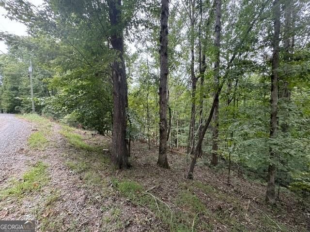 254 Myna Drive, Ellijay, GA 30540