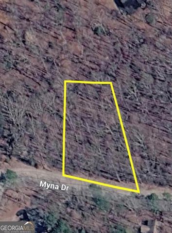 254 Myna Drive, Ellijay, GA 30540