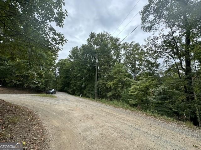 254 Myna Drive, Ellijay, GA 30540