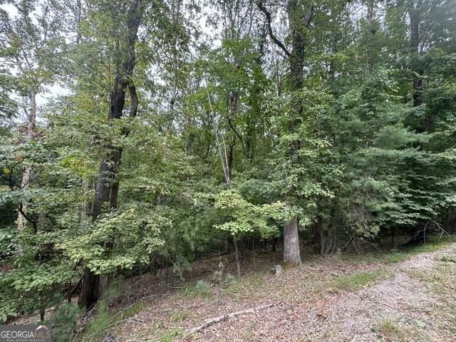 254 Myna Drive, Ellijay, GA 30540