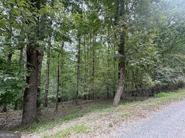 254 Myna Drive, Ellijay, GA 30540