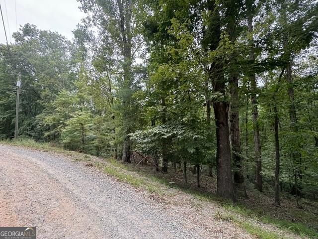 254 Myna Drive, Ellijay, GA 30540