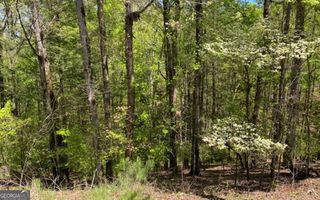 254 Myna Drive, Ellijay, GA 30540