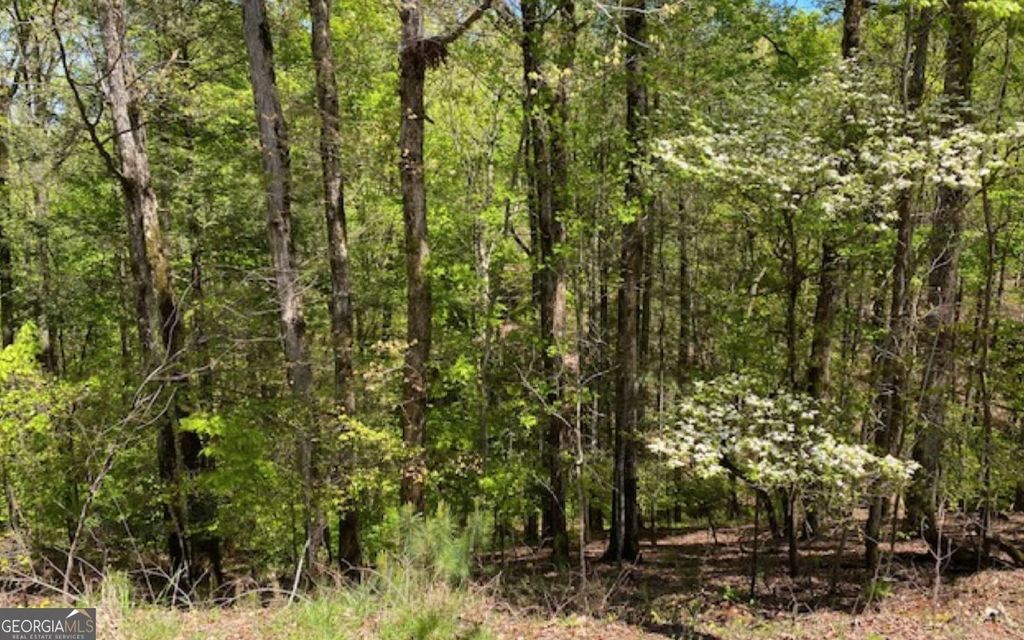 254 Myna Drive, Ellijay, GA 30540