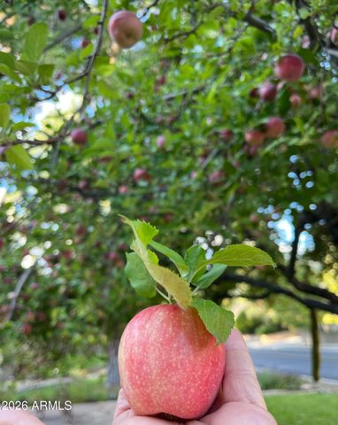 370 PARK Avenue, Prescott, AZ 86303