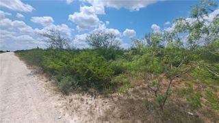000 Tr 18 La Nina Road, San Diego, TX 78384