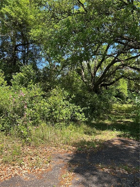 213 East Drive, Mobile, AL 36608