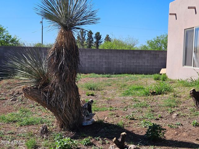 4105 N Washington Avenue, Douglas, AZ 85607